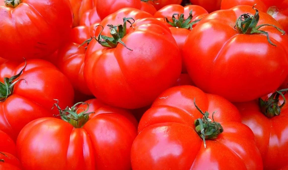 В Петербурге подорожали помидоры, подсолнечное масло и яйца - tvspb.ru