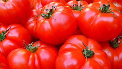 В Петербурге подорожали помидоры, подсолнечное масло и яйца