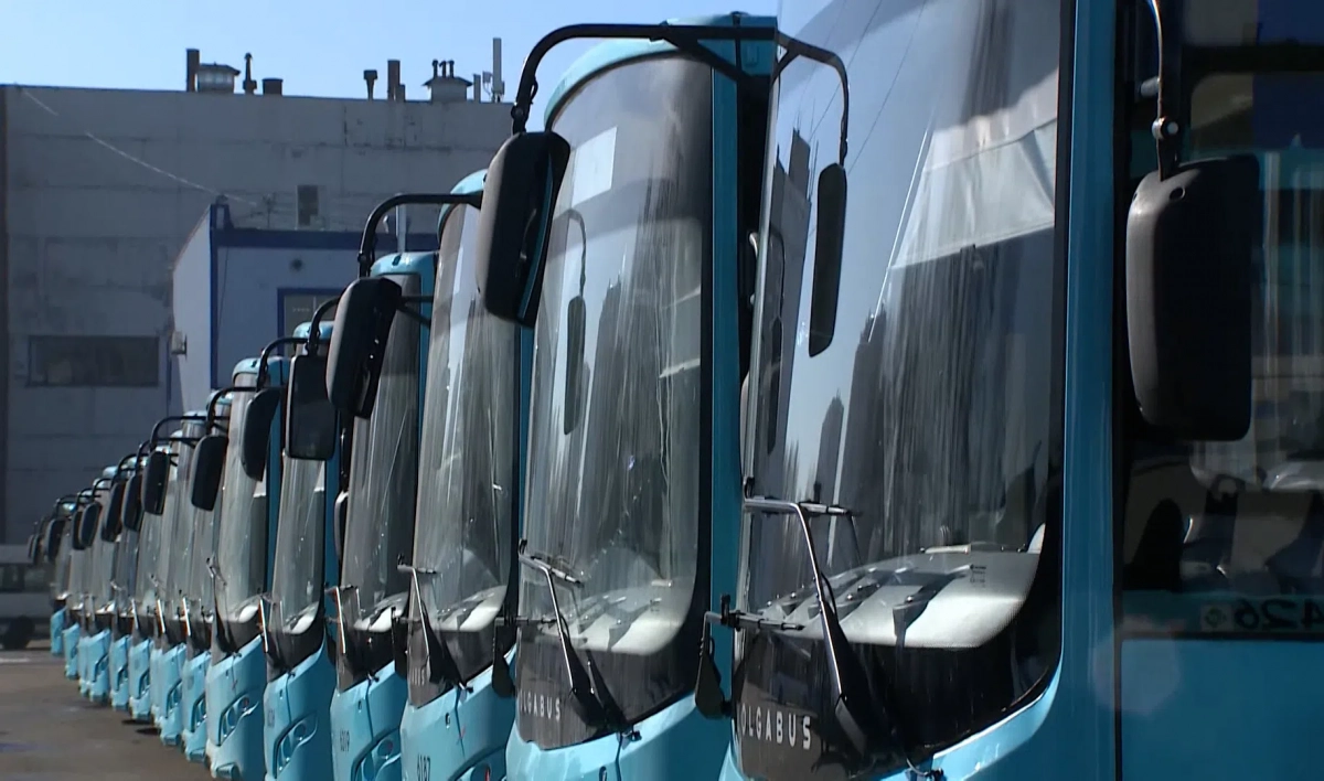 В первый день июня на улицы Петербурга выйдут еще 693 новых автобуса - tvspb.ru