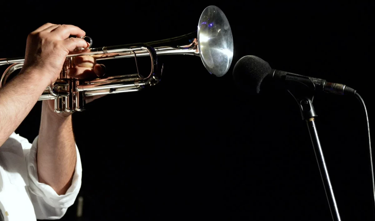 Джазовый оркестр под управлением Станислава Чигадаева выступит в Эрмитажном театре - tvspb.ru