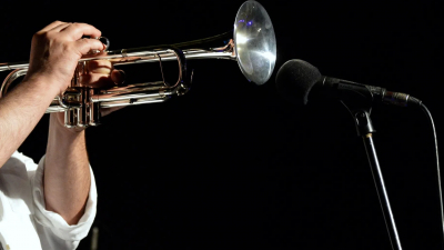 Джазовый оркестр под управлением Станислава Чигадаева выступит в Эрмитажном театре