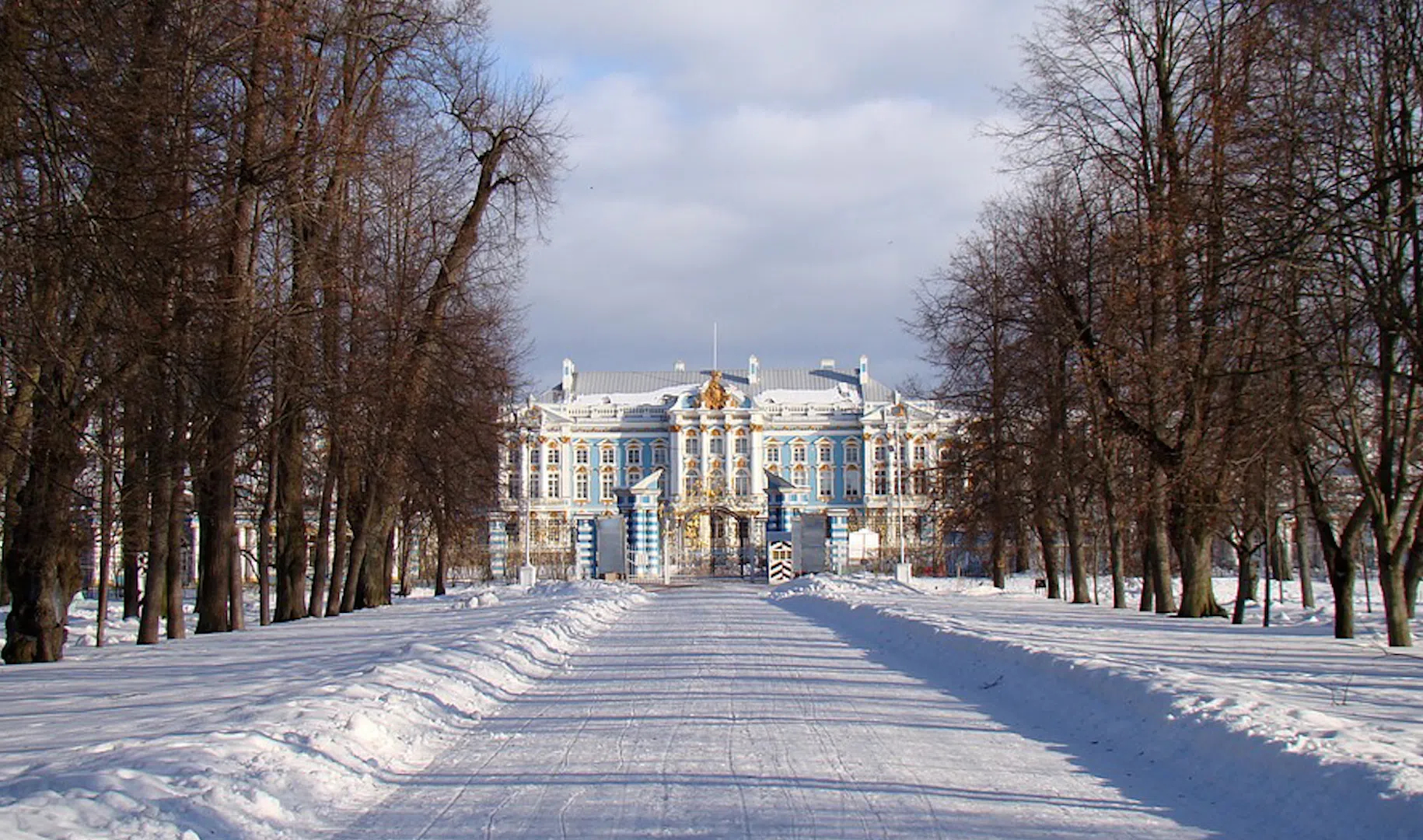 Парки питера зимой