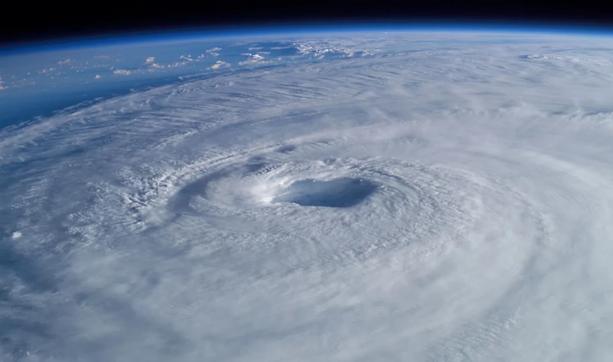 Роман Вильфанд рассказал, сколько стоит дать имя циклону и антициклону - tvspb.ru