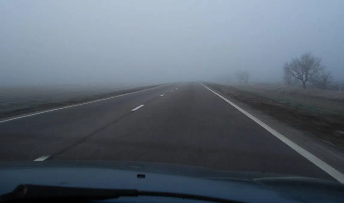 Автомобилистов предупредили о плотном тумане в Ленобласти - tvspb.ru