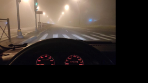Фотографии туманного утра появились сегодня в соцсетях