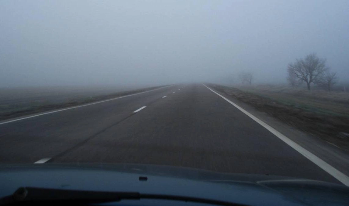 В Ленобласти объявили штормовое предупреждение из-за плотного тумана - tvspb.ru
