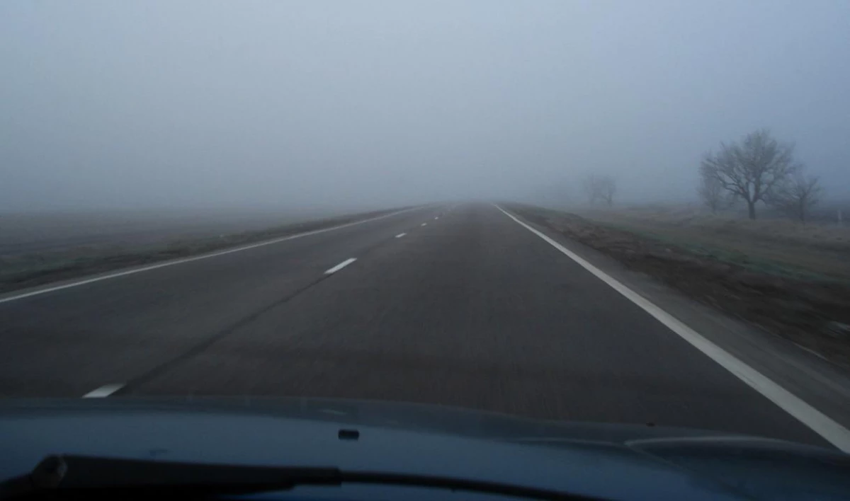 Отдельные районы Ленобласти в среду утром окутает туман - tvspb.ru