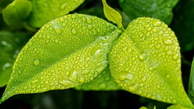 Петербург пригласили участвовать в выставке «Экспо-2022» в Турции