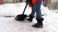 Еще 8 сантиметров снега может лечь в Курортном районе Петербурга во вторник