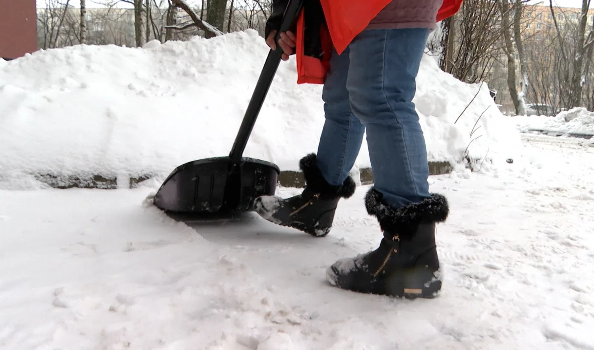 За неделю жилищные инспекторы проверили около тысячи крыш и дворов на предмет уборки снега - tvspb.ru