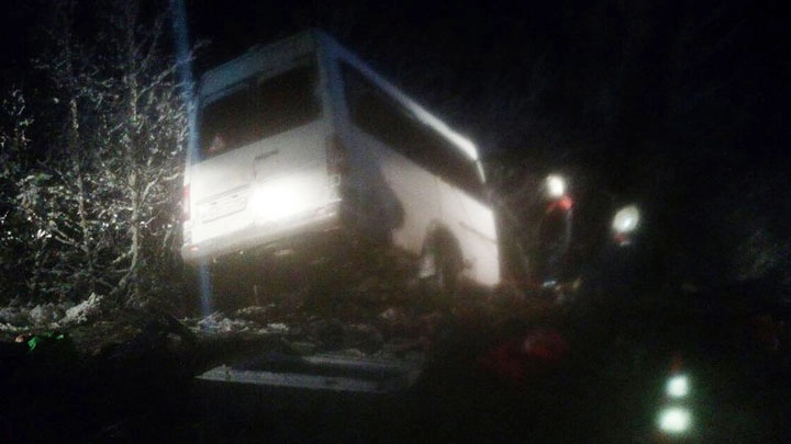 Столкновение микроавтобуса с лесовозом в Марий Эл: погибли 12 человек - tvspb.ru