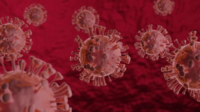 Инфекционист: Осенью возможен повторный пик заболевания