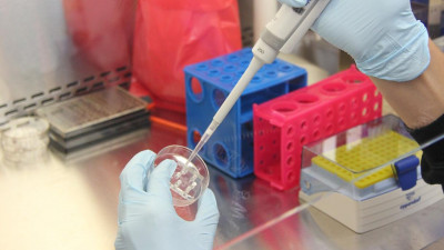 Владимир Княгинин: Объемы исследований и разработок в Петербурге выросли