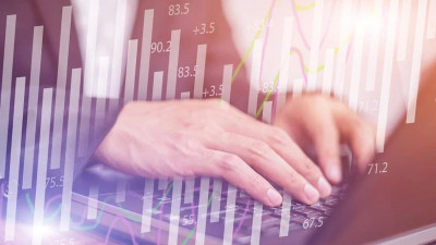 Эксперты рассказали, почему IT-сфера вакансий  Петербурге набирает популярность