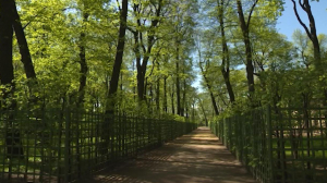«Сады просвещения». Онлайн прогулки вместе с Русским музеем по зелёным уголкам Северной столицы
