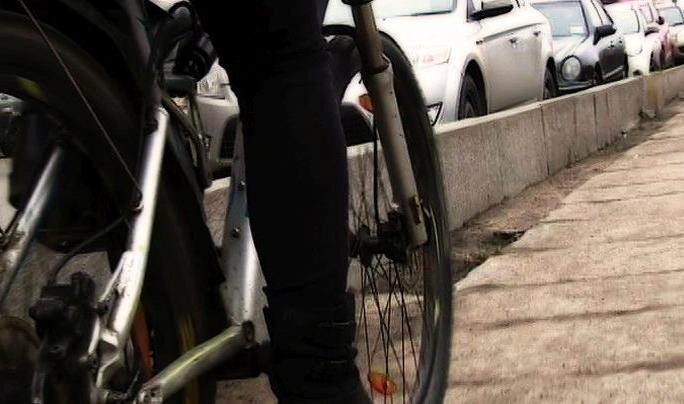 Болельщик из Саудовской Аравии приехал на мундиаль на велосипеде - tvspb.ru