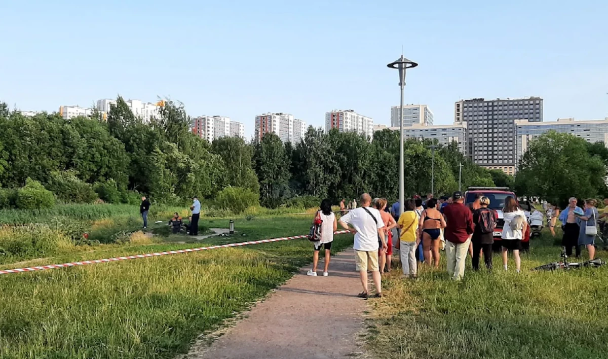 Спасатели достали тело ребенка из пруда в Пулковском парке - tvspb.ru