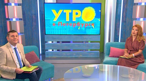 Утро в Петербурге 28 августа