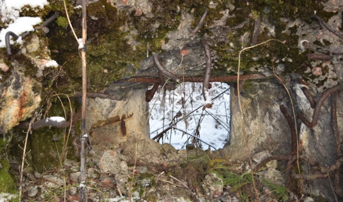 Оборонительные укрепления времен советско-финской войны превратят в музей - tvspb.ru