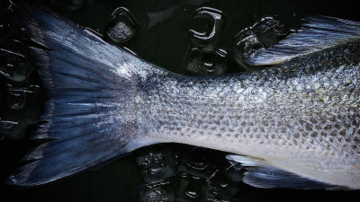 Россельхознадзор предложил ужесточить борьбу с ввозом санкционных продуктов