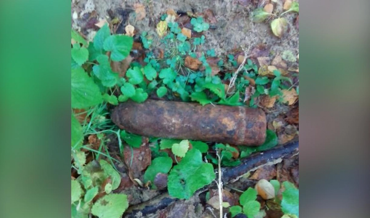 В поле в Шушарах нашли гранаты, мину и снаряд - tvspb.ru