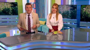 Утро в Петербурге 31 августа