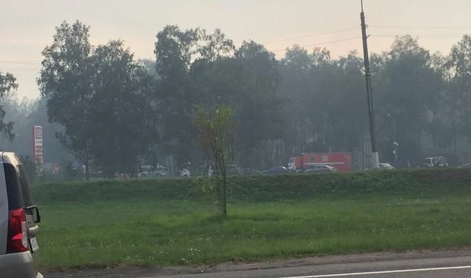 Очевидцы заметили крупное возгорание на Приморском шоссе - tvspb.ru
