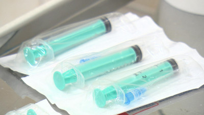 Через два года в России может появиться вакцина против аллергии на кошек