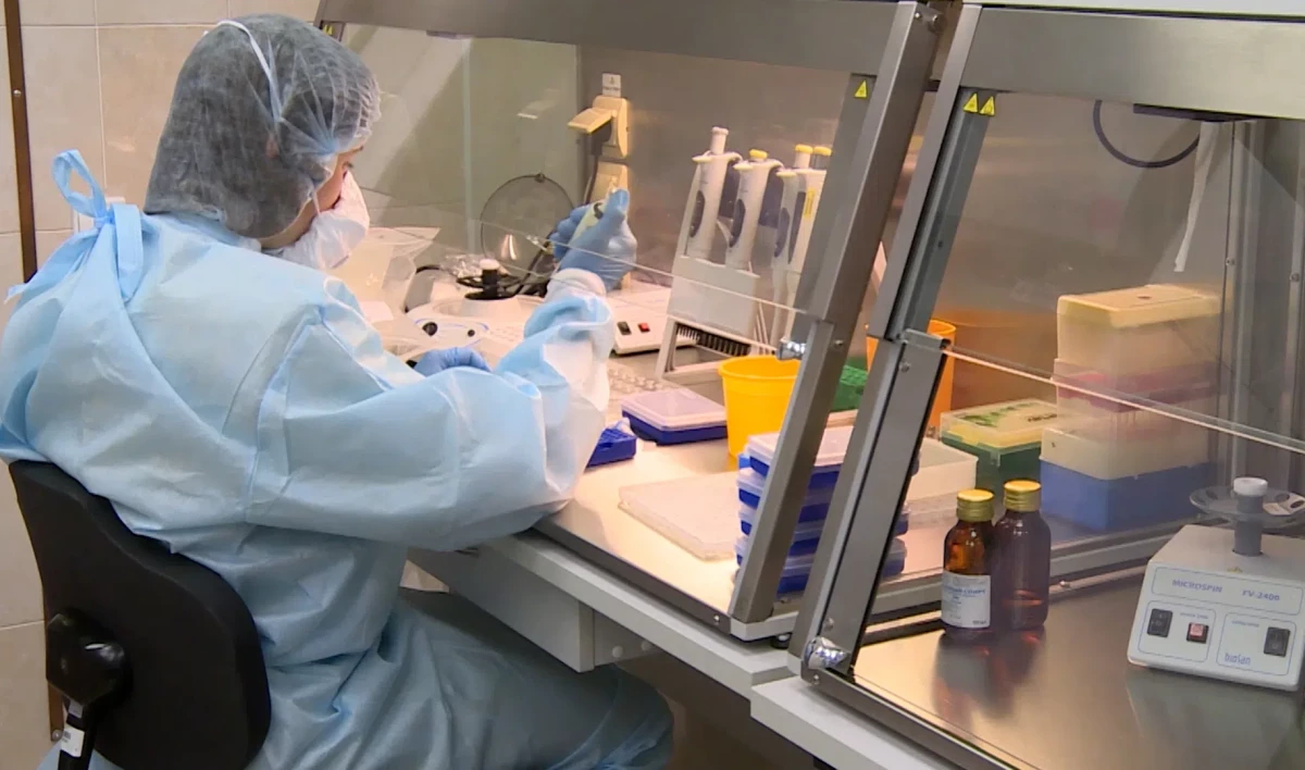 Гинцбург заявил о возможности создания единой вакцины от гриппа и COVID-19 - tvspb.ru