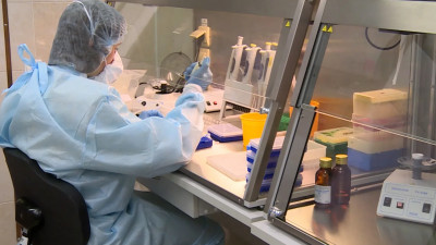 Разработку петербургских ученых по выявлению скрытого гепатита B могут запустить в этом году