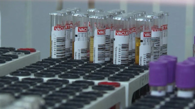 Запас вакцины от COVID в Петербурге достиг 488 тысяч доз