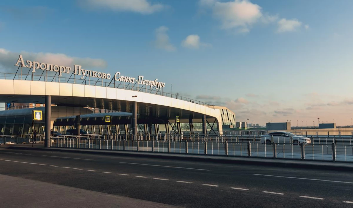 «Пулково» ищет орнитолога для отпугивания птиц и диких животных на аэродроме - tvspb.ru