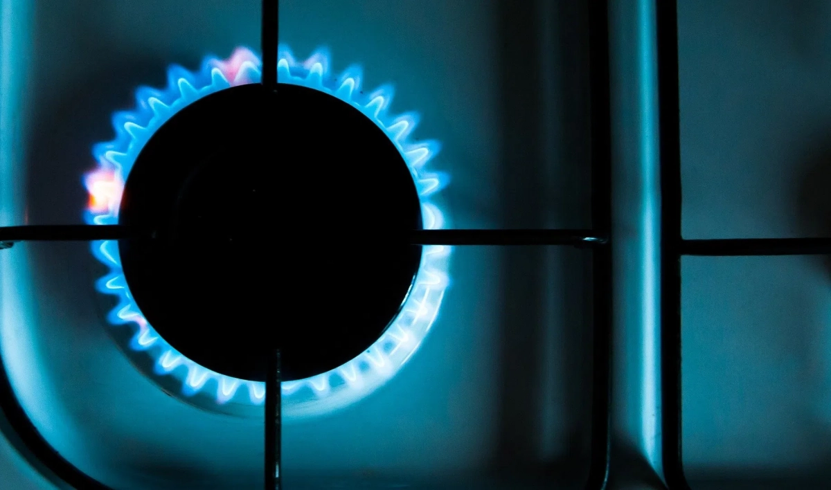 Турчак: Газ бесплатно доведут до участков за два года - tvspb.ru