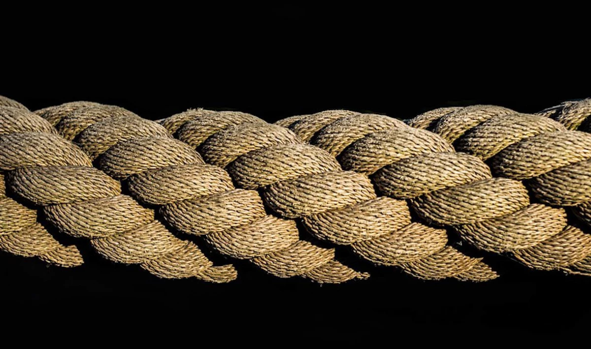 В пещере во Франции обнаружили части самой древней веревки на Земле - tvspb.ru