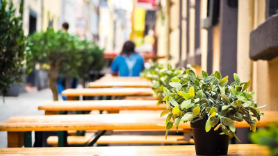 В Смольном предлагают упростить порядок открытия летних кафе