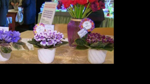 Весеннее настроение