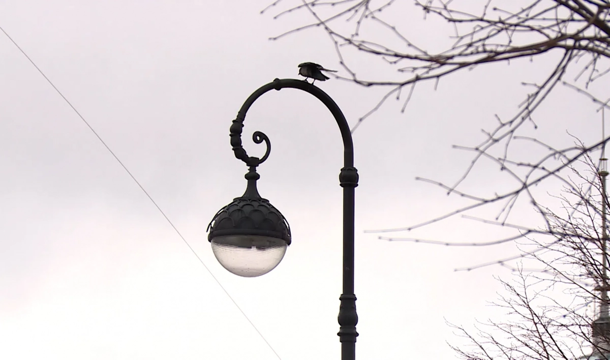 Скорость ветра в Петербурге достигнет 18 метров в секунду - tvspb.ru