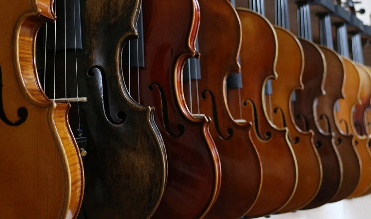 Музыкальные инструменты за 230 млн рублей получили детские школы искусств Петербурга - tvspb.ru