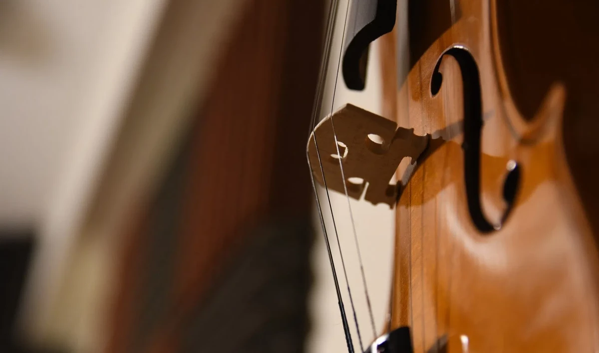 В «Мюзик-Холле» пройдет концерт «Страсти по Шекспиру» - tvspb.ru