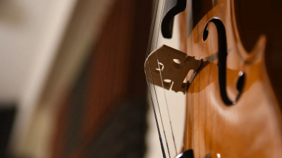 В «Мюзик-Холле» пройдет концерт «Страсти по Шекспиру»