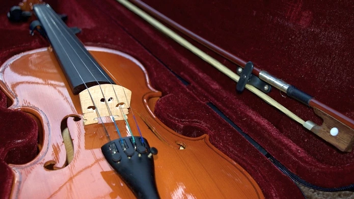 Музыкальная школа им. Римского-Корсакова продолжит обучение студентов на бюджетном отделении - tvspb.ru