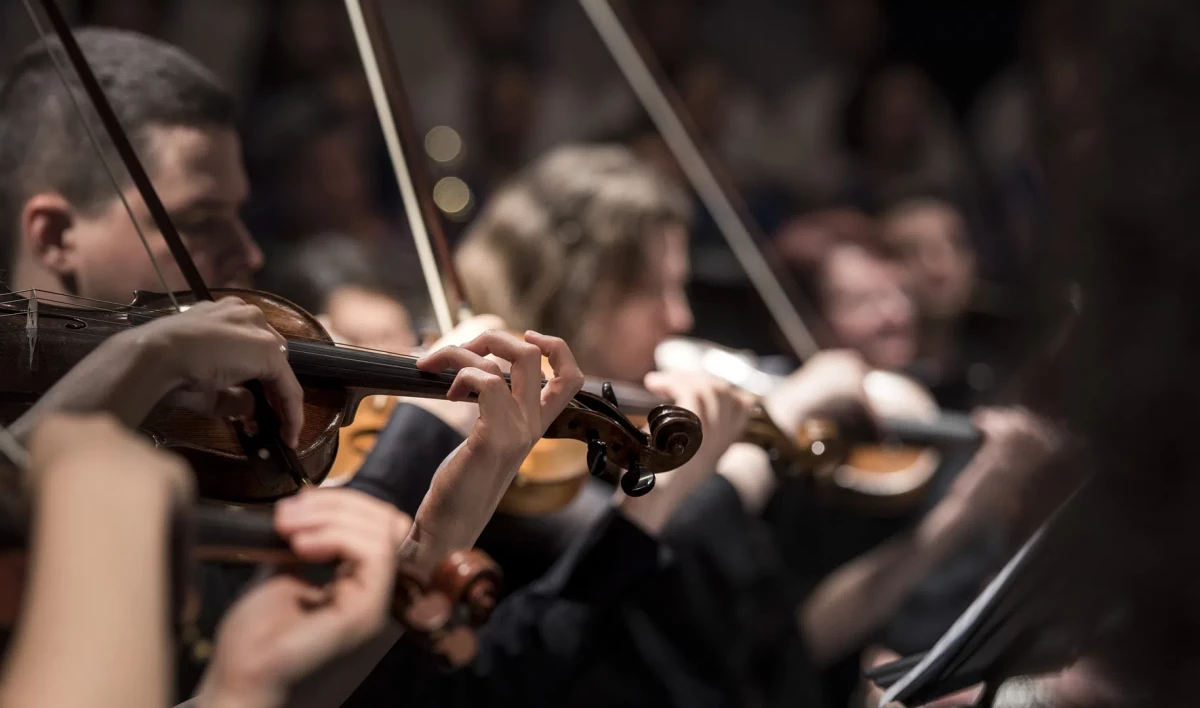 Виолончелистка из Франции Лиза Штраус выступила против отмены русской культуры - tvspb.ru