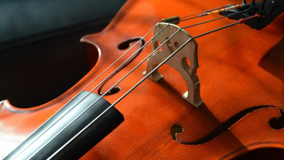 В День рождения Петербурга пройдет концерт Российско-китайского симфонического оркестра