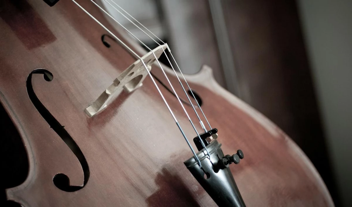 Первый после перерыва концерт в Мариинском театре начали минутой молчания - tvspb.ru