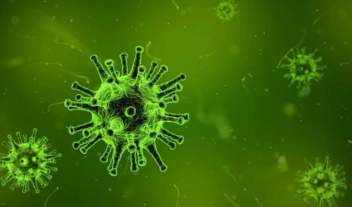 Ученые создали достоверную 3D-модель коронавируса - tvspb.ru