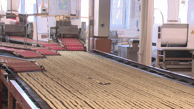 Петербургские предприятия успешно функционируют в условиях санкционного давления