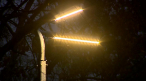 В Красносельском районе поставили три тысячи  энергосберегающих светильников
