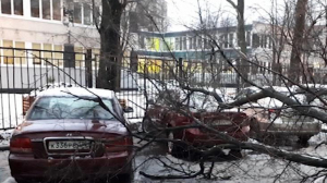 В Петербург идут сильный ветер и снег с дождем