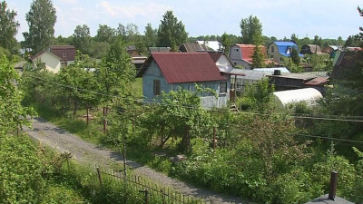 Петербуржцы начали массово скупать загородную недвижимость