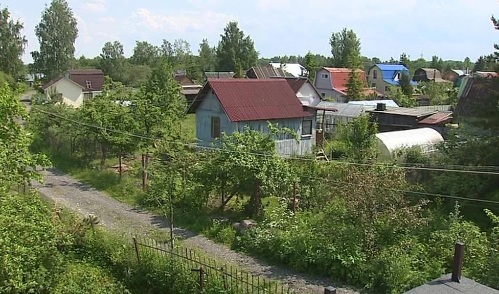 В Ленобласти спрос на загородное жилье увеличился в 2 раза из-за коронавируса - tvspb.ru